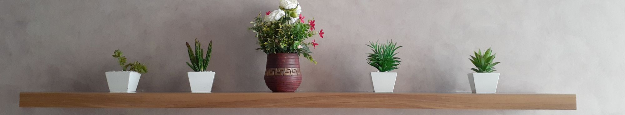 10 plantas para atraer energía positiva a tu hogar según el Feng Shui